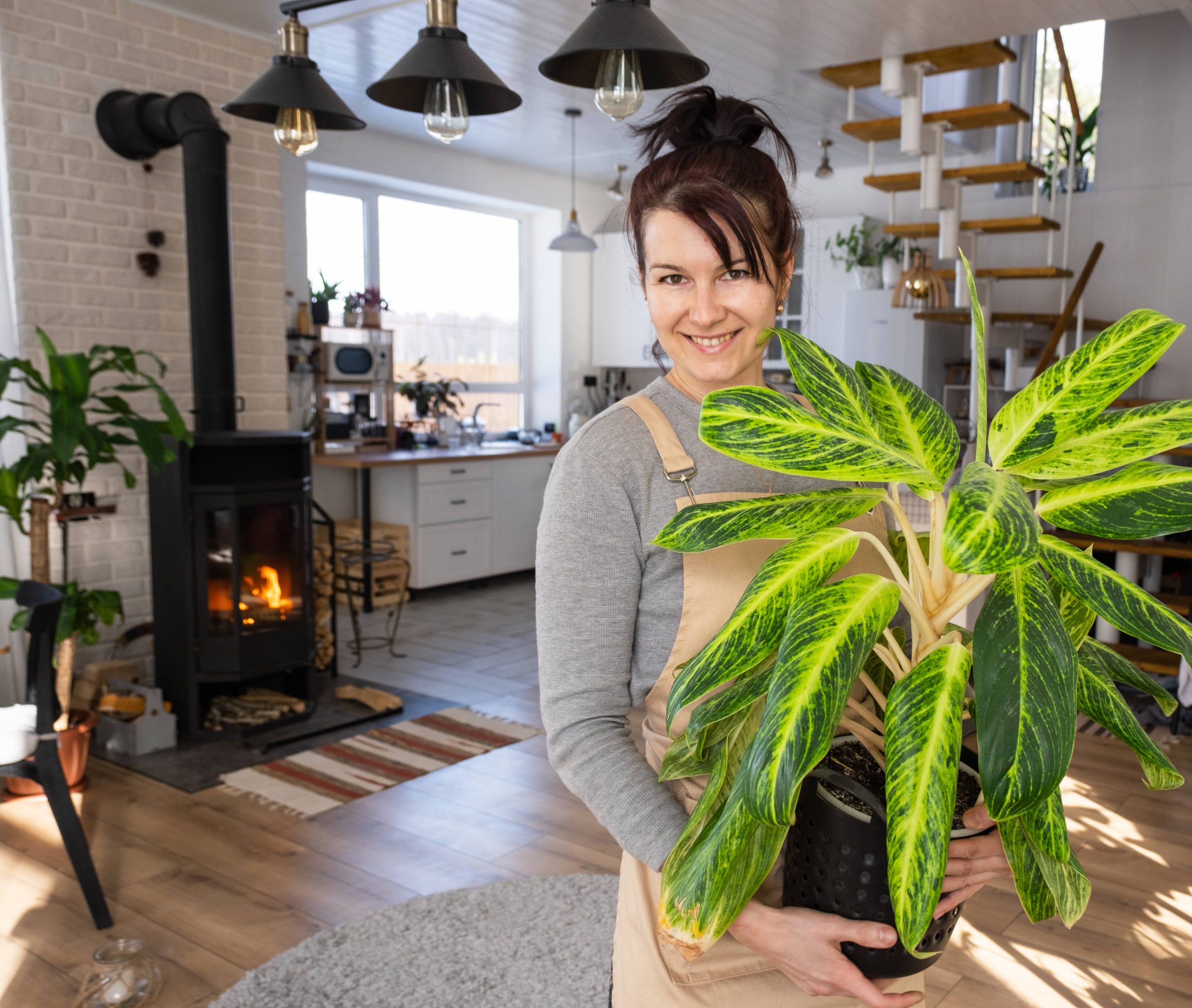 A Beginner's Guide to Easy-Care Houseplants