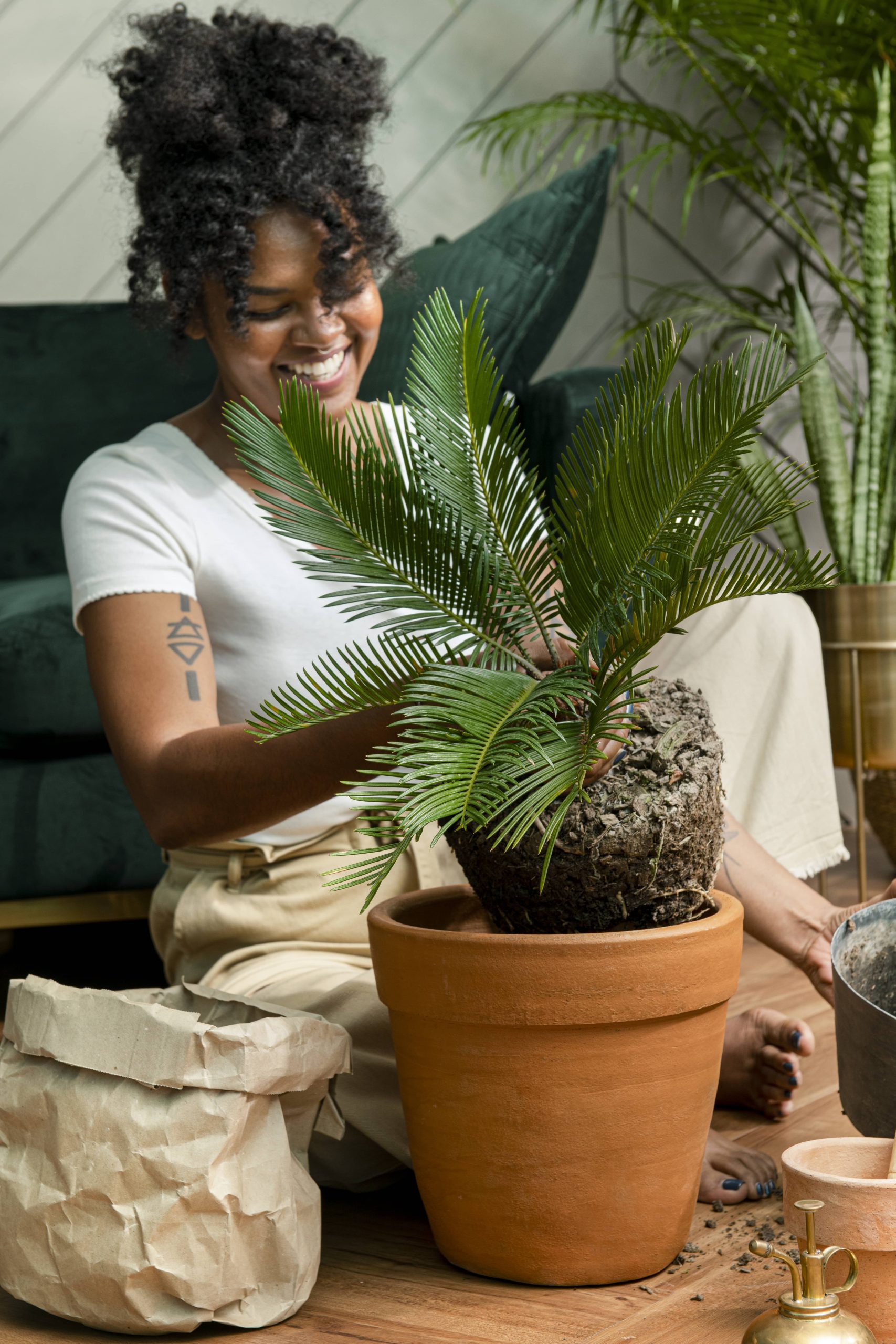 Arranging Indoor Plants Based on Feng Shui Principles