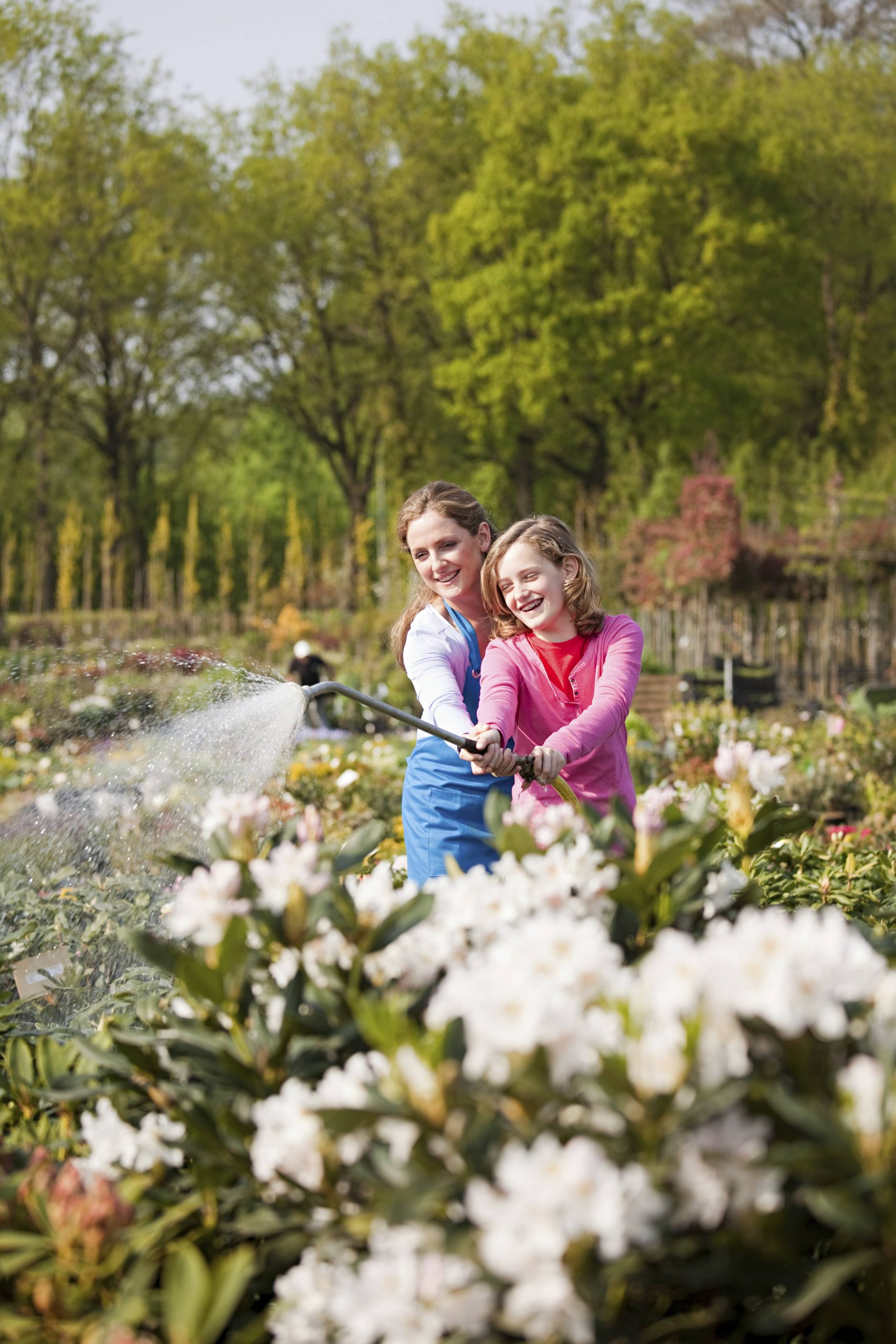 Backyard Pond Basics: Designing and Maintaining Water Gardens