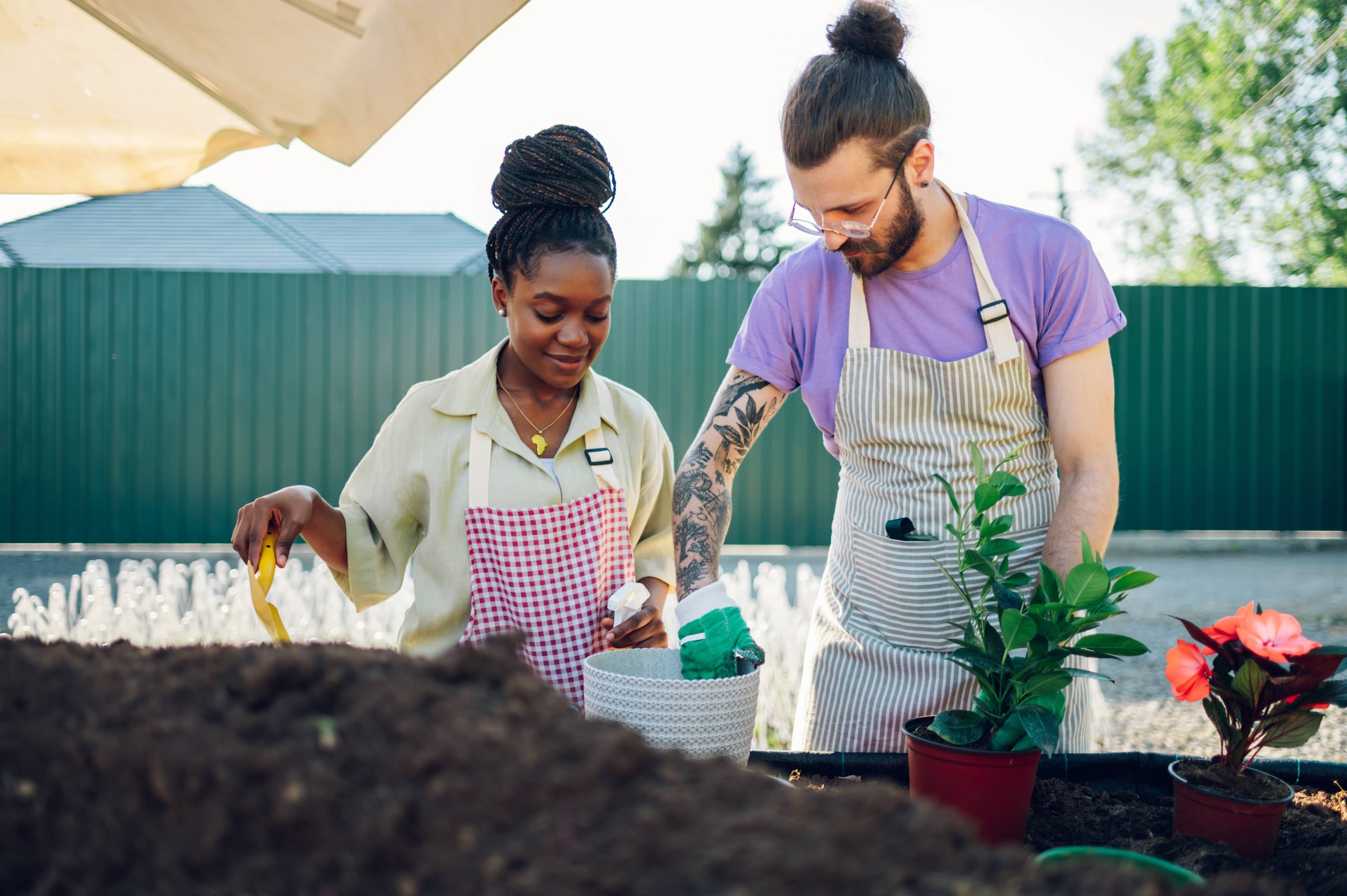 Beginner-Friendly Fruit Trees Suitable for Small Spaces