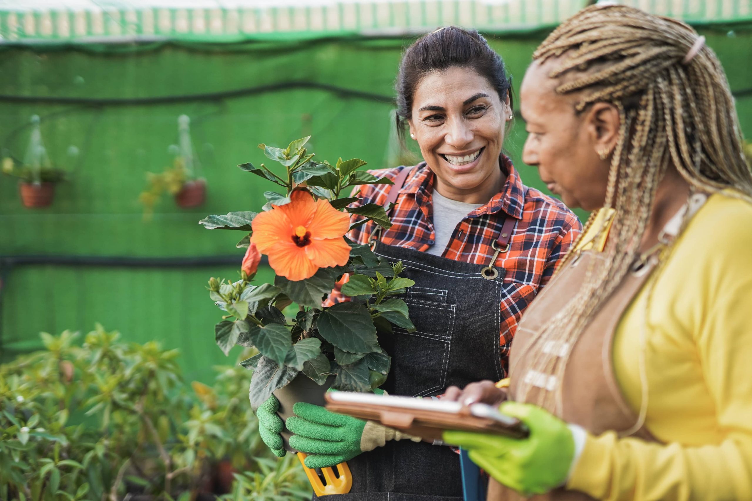 Building Your Own Drip Irrigation System Conserves Both Time and Water