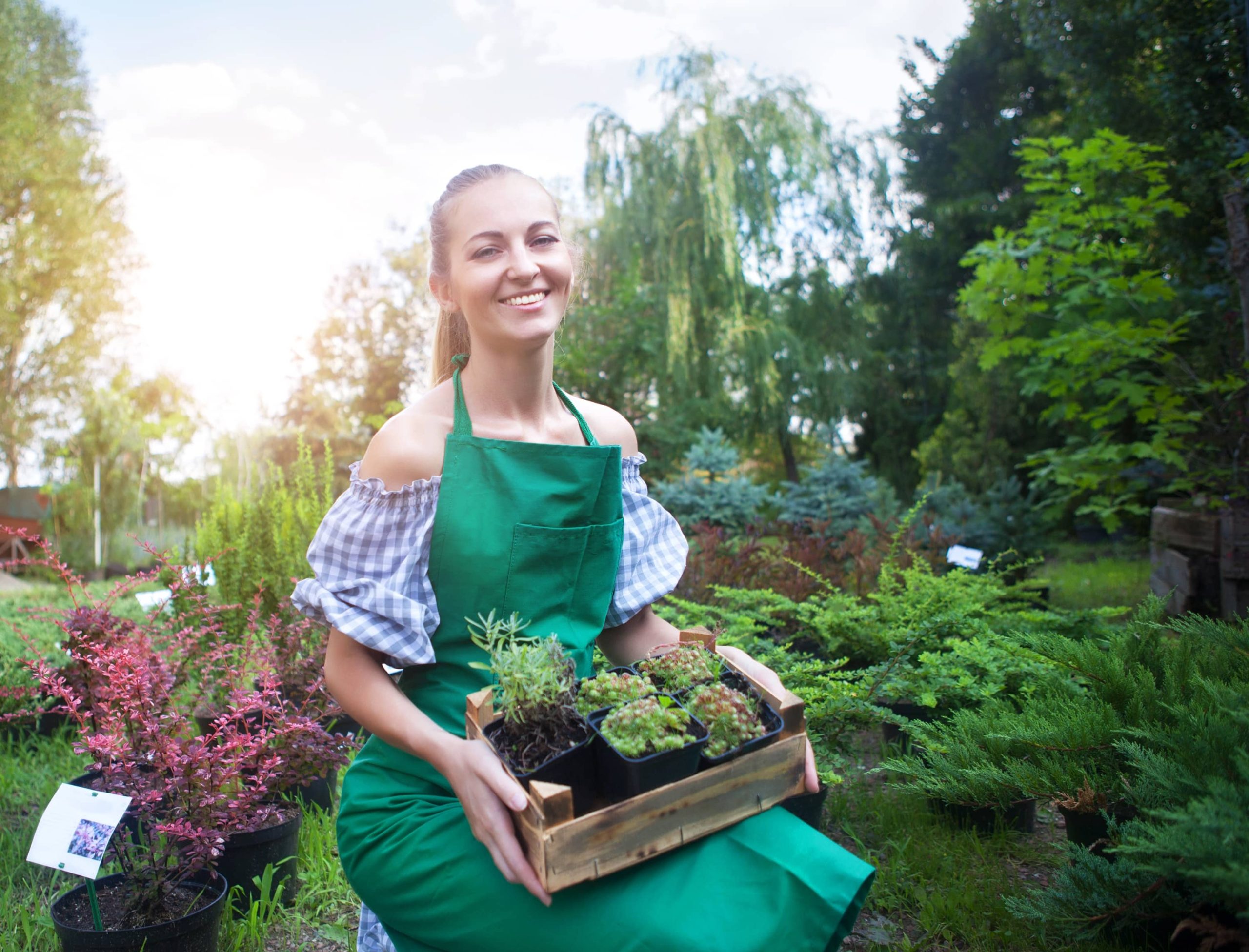 Choosing Perennials That Come Back Annually