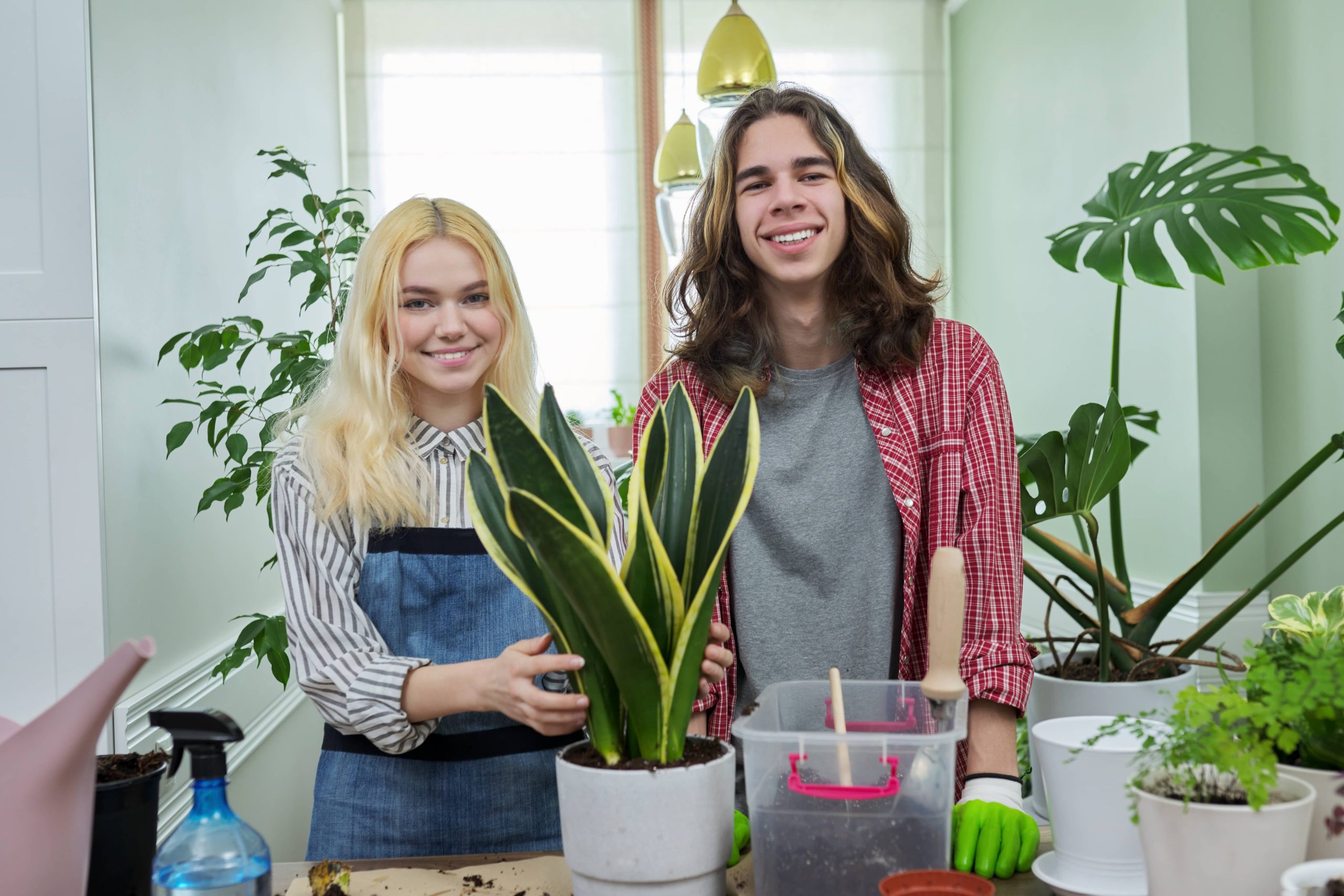 Effective Use of Grow Lights for Sunlight Simulation