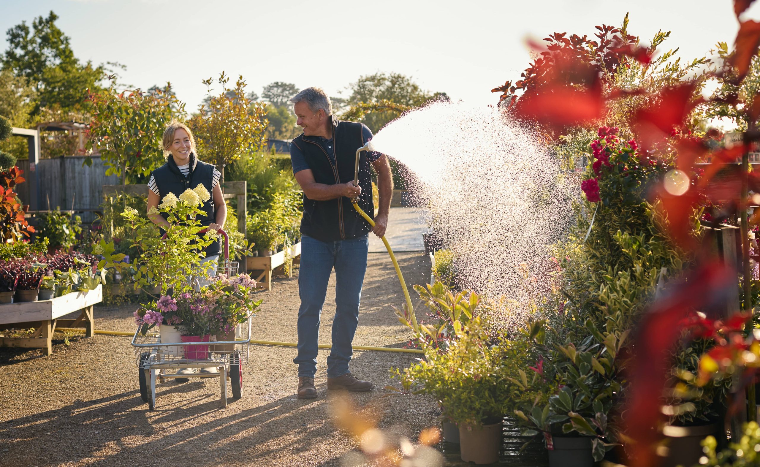 Flowering Shrubs: Nature's Living Canvas in Your Garden