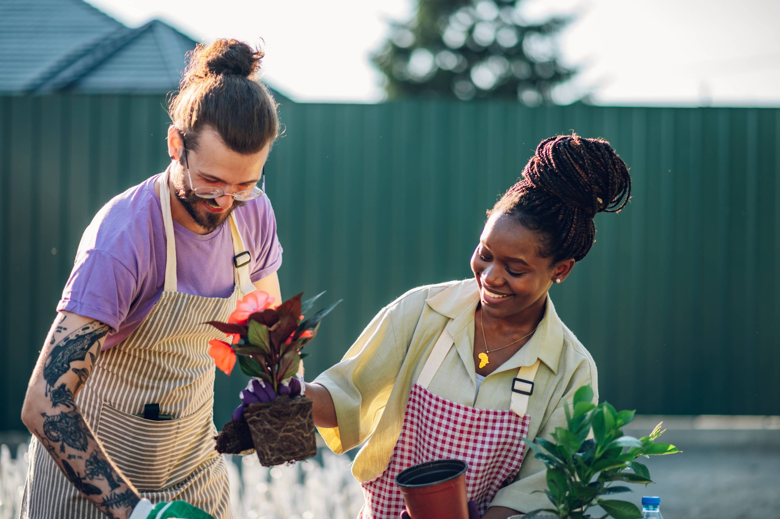 Growing Vegetables in Containers on Your Patio