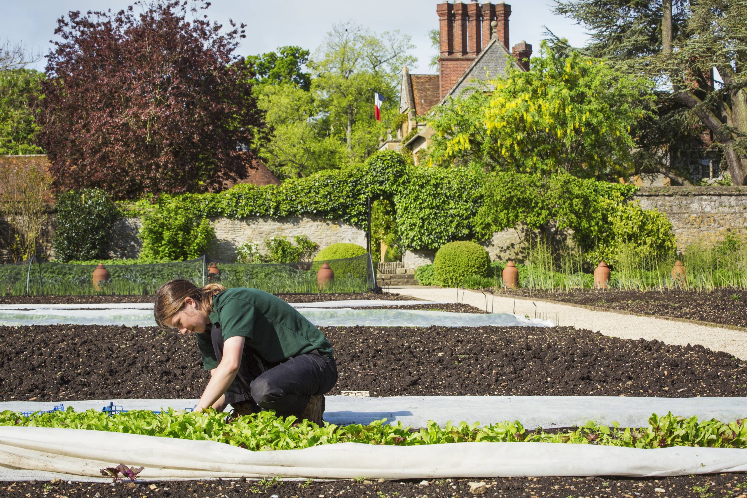 Raised Bed Gardening Guide for Beginners