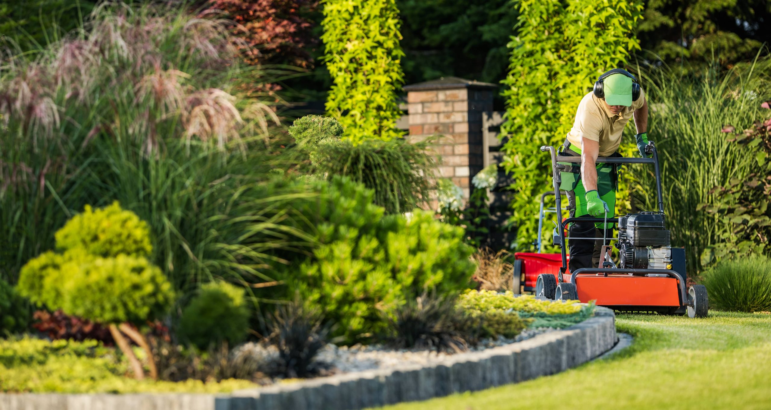 Transforming a Sloped Yard into a Terraced Paradise