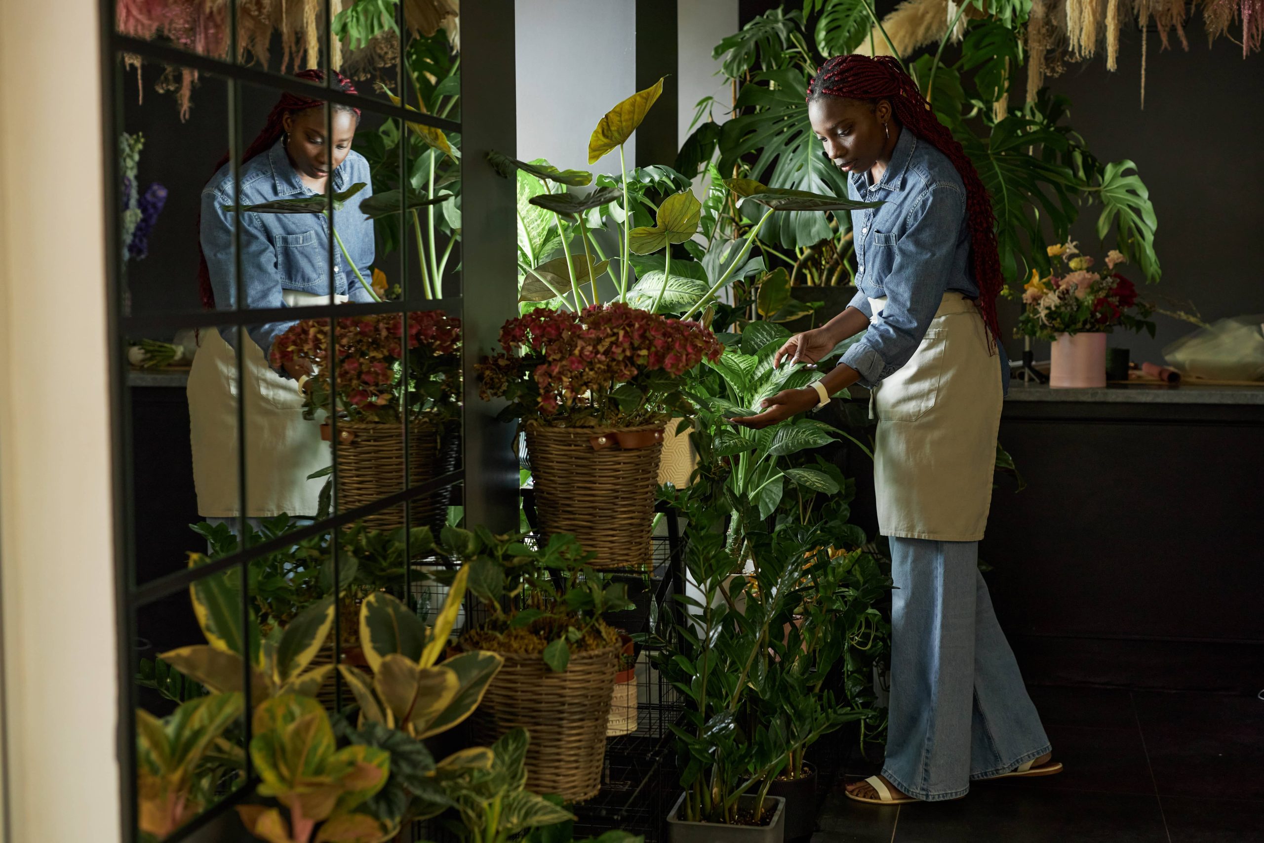 Utilizing Coffee Grounds and Kitchen Scraps as Plant Fertilizer