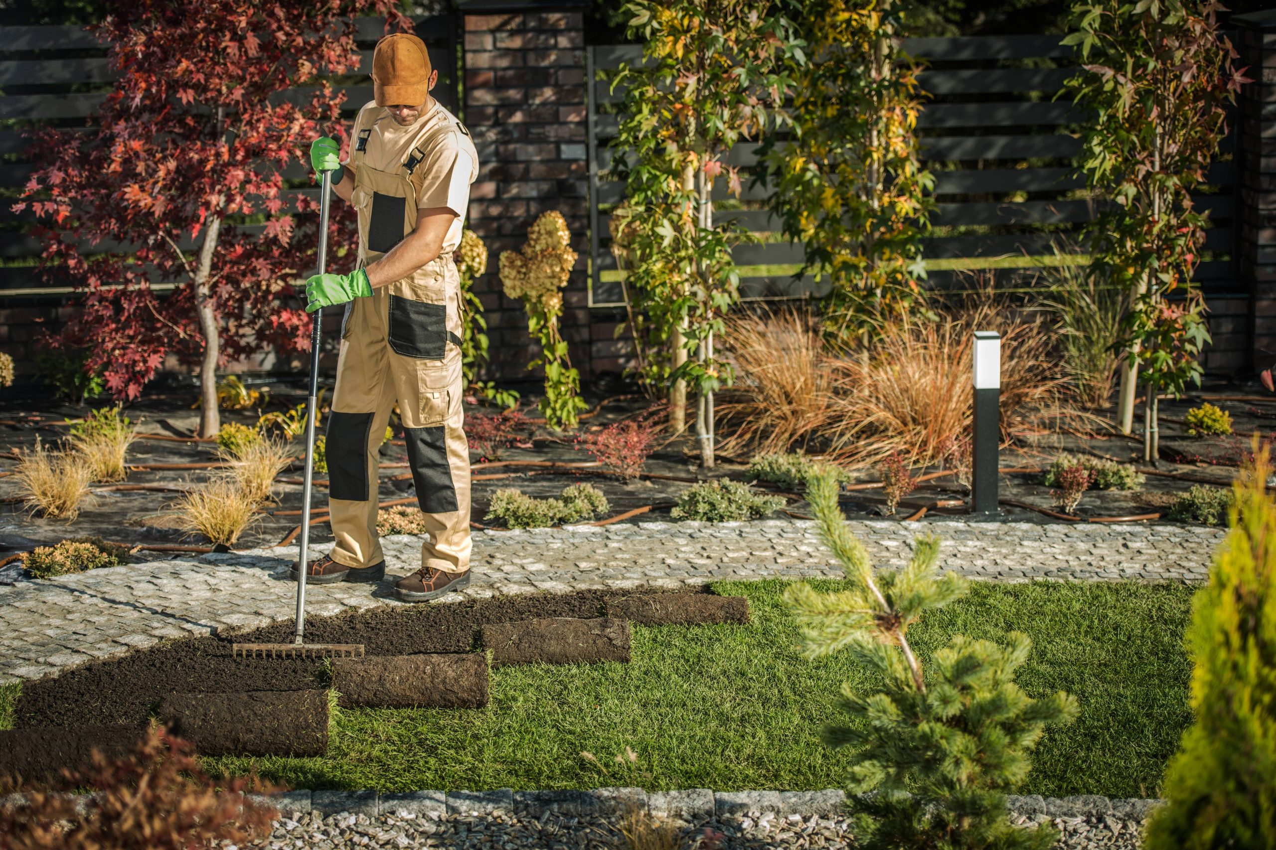 Utilizing Ornamental Grasses for Texture and Movement